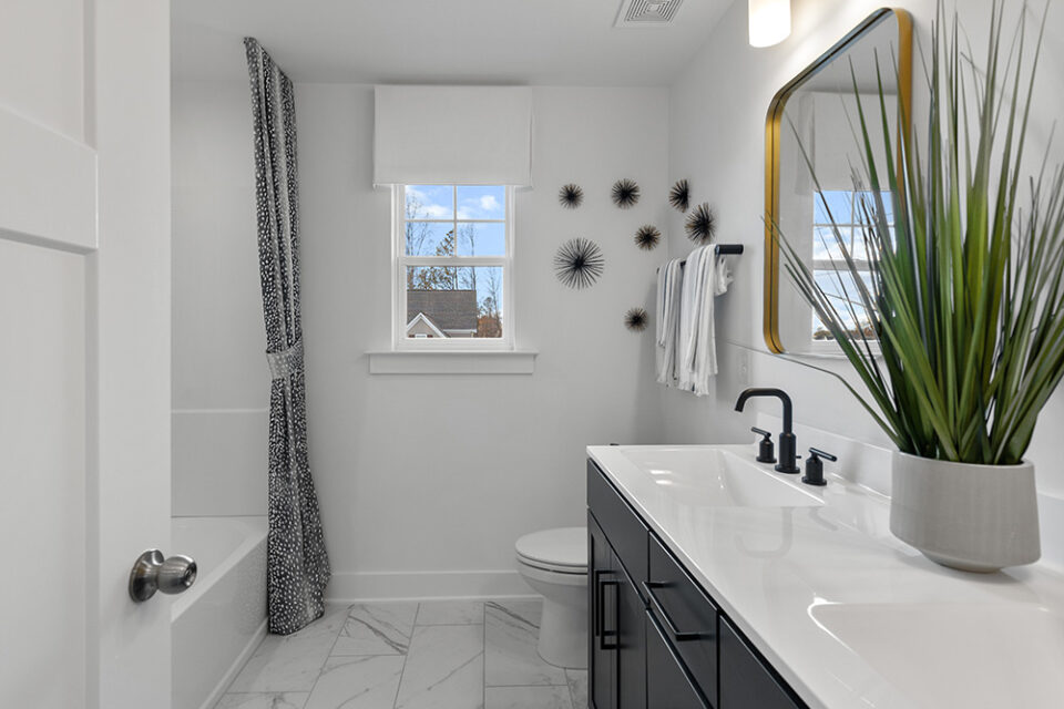 Bathroom Standard